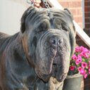 david spruill - @dvrspruill - Twitter