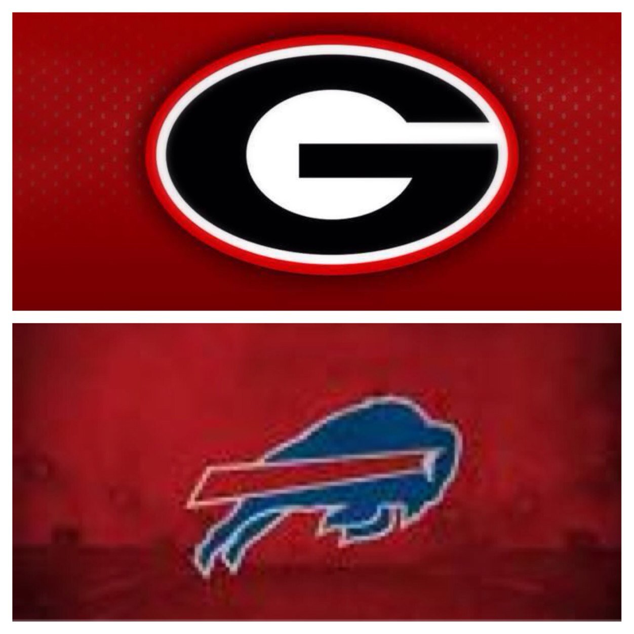 1st - Go Dawgs   
2nd - Go Bills