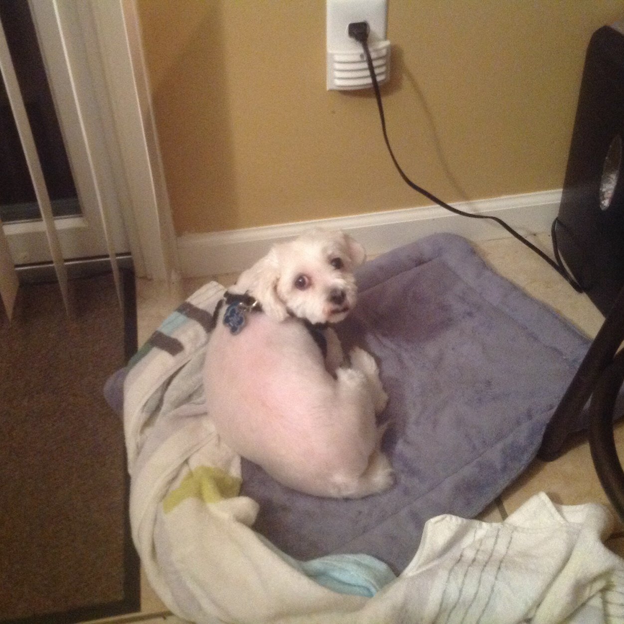 potterphilly13's profile picture. Don't follow your dreams, follow my twitter.