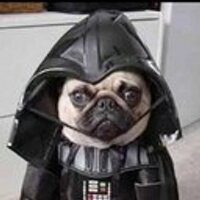 Super bot pagado 32 (@apipper32) 's Twitter Profile