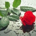 Yerimastae's profile picture. 