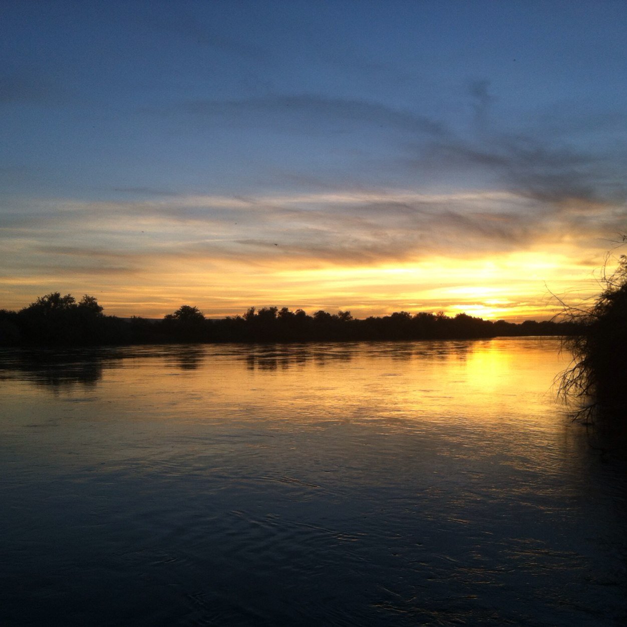 KelsePuri's profile picture. 