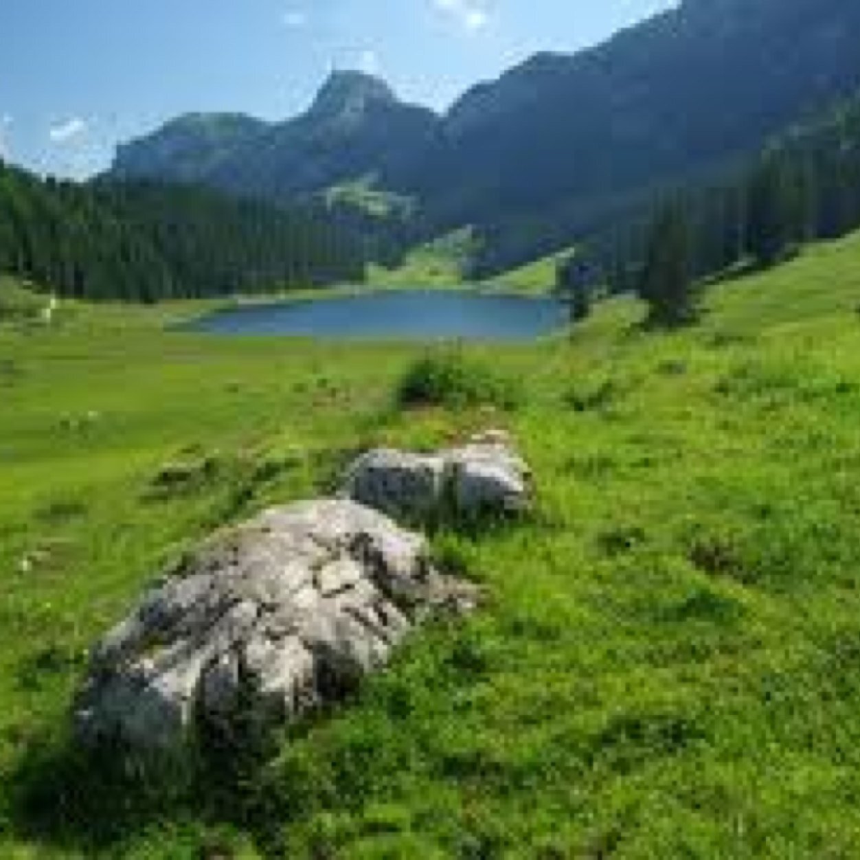 batel_123's profile picture. 