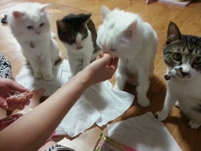 gws8720's profile picture. 