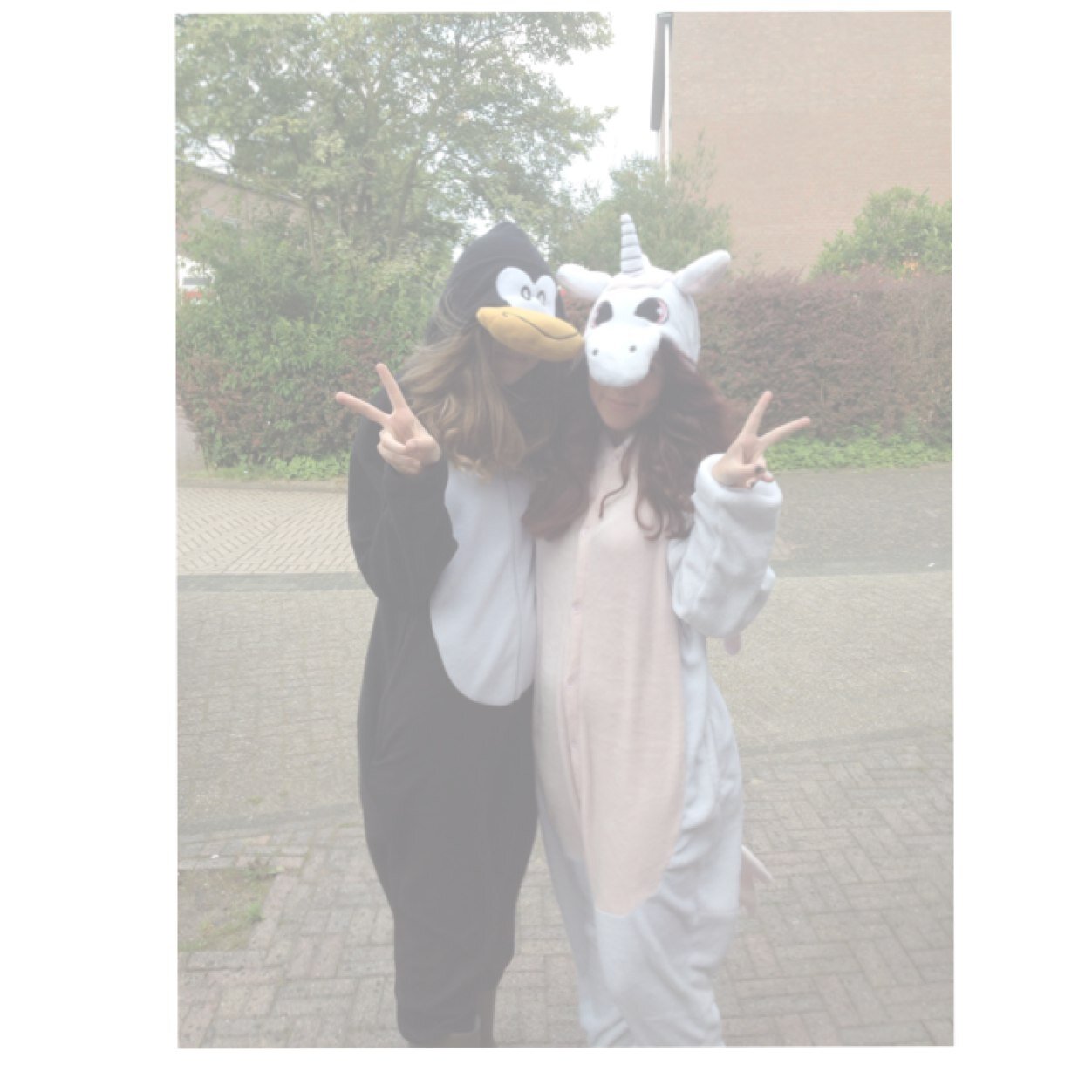 Hii, we are Miss Unicorn & Mr. Penguin