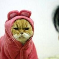 koyunwa (@koyunwa) 's Twitter Profile