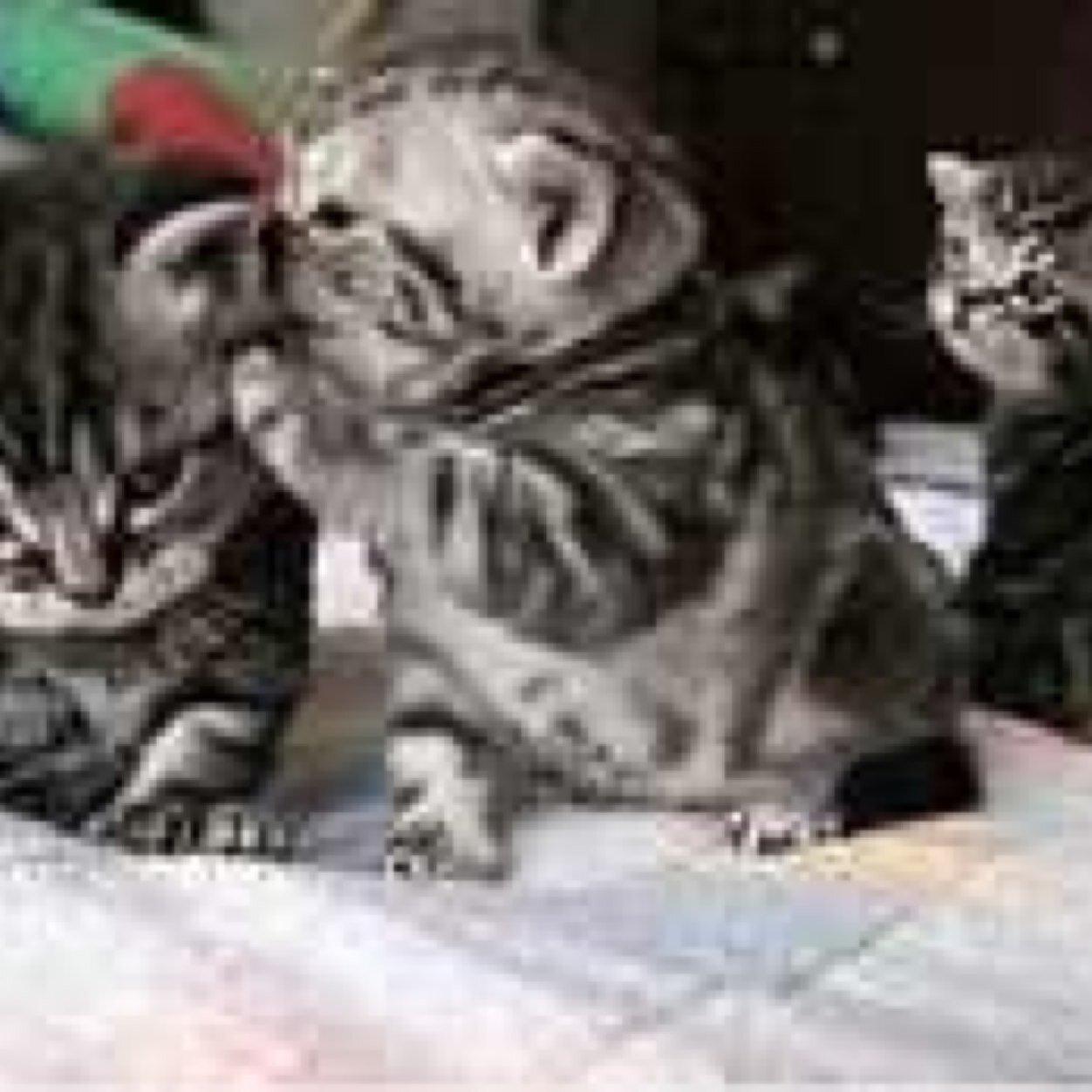 ussspruance's profile picture. The Mars Class U.S.S. Niagara Falls (AFS-3). sisters USS White Plains (AFS-4), USS San Jose (AFS-7)