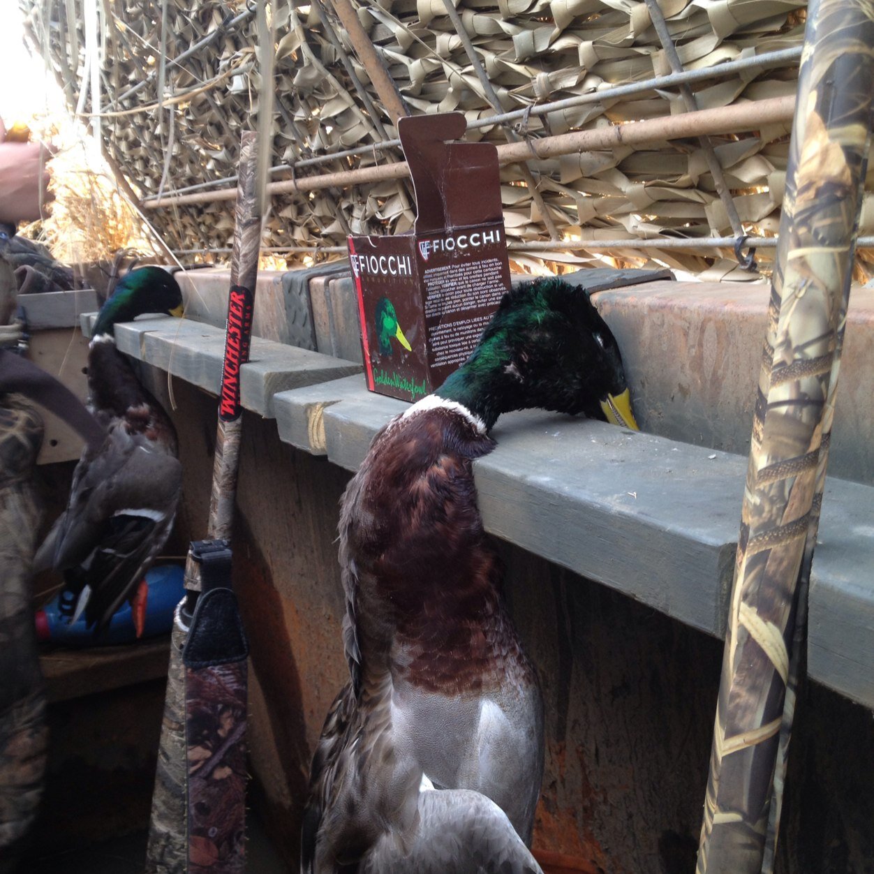 southern_guys's profile picture. We enjoys the outdoors.