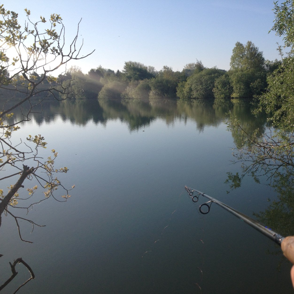 MolinMarc's profile picture. Dir Com à CA_2BM,passionné de sports et de basket, épicurien passionné de pêche et d'aquariophilie. papa et mari comblés