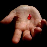 Qualia (@qualiatc) 's Twitter Profile Photo