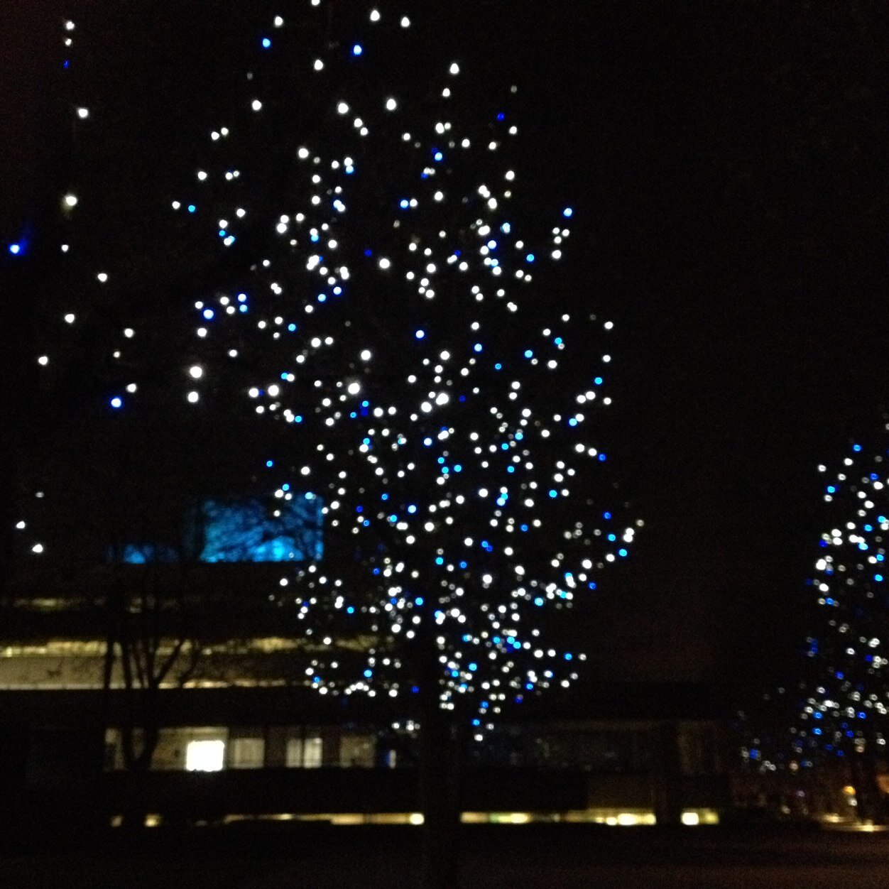 Professional Lighting Designer working in London. Specialising in education lighting and researching effects of lighting on the bodys bio-rhythms.