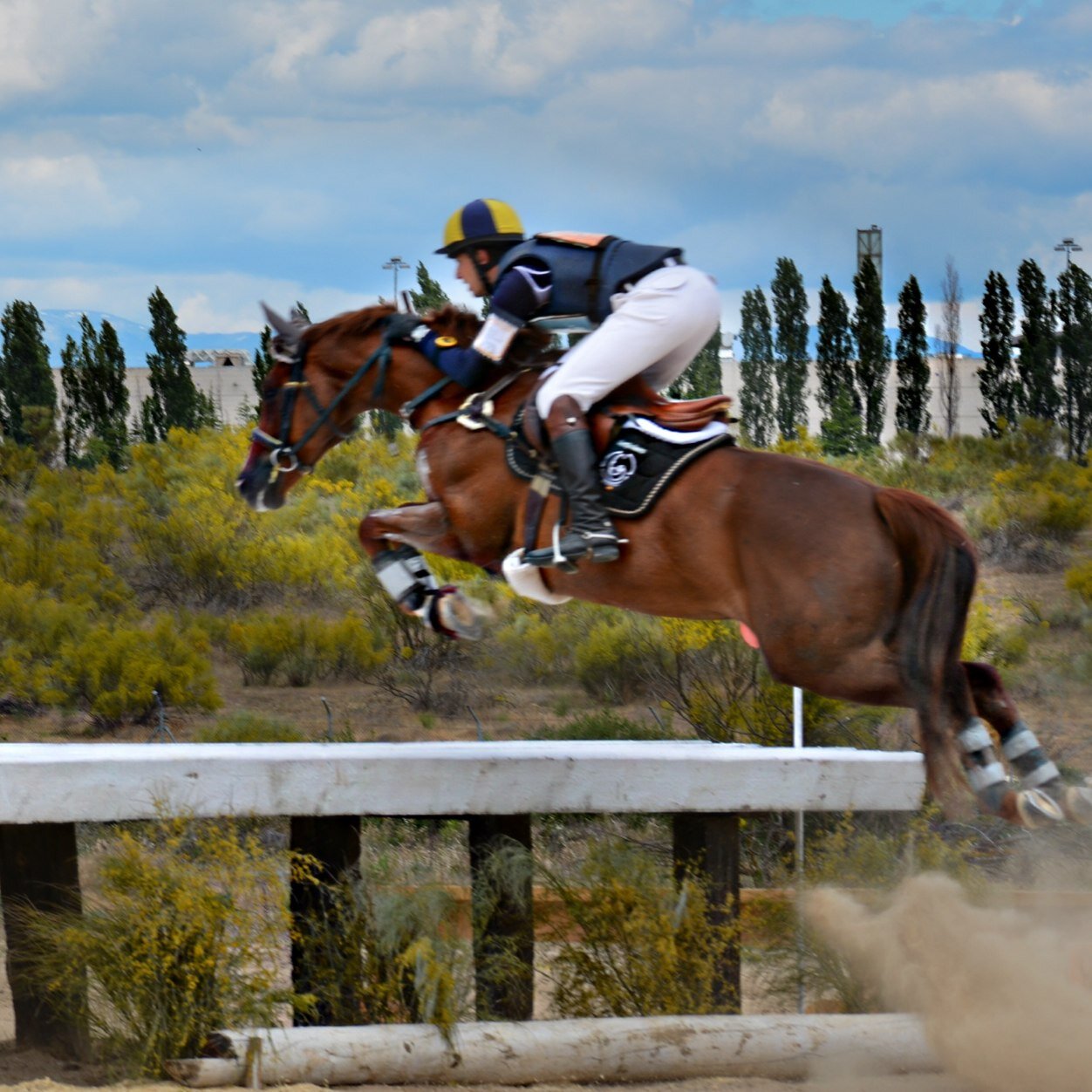 🇪🇸International Spanish Eventing rider 🇪🇸
🇩🇪 Based in Germany 🇩🇪 
🇪🇸 National team member
Sponsored by: 
@ipeaihnen @voltairedesign_official #pppuas