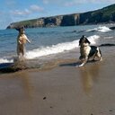 Robert Proctor - @Proctor77Robert - Twitter