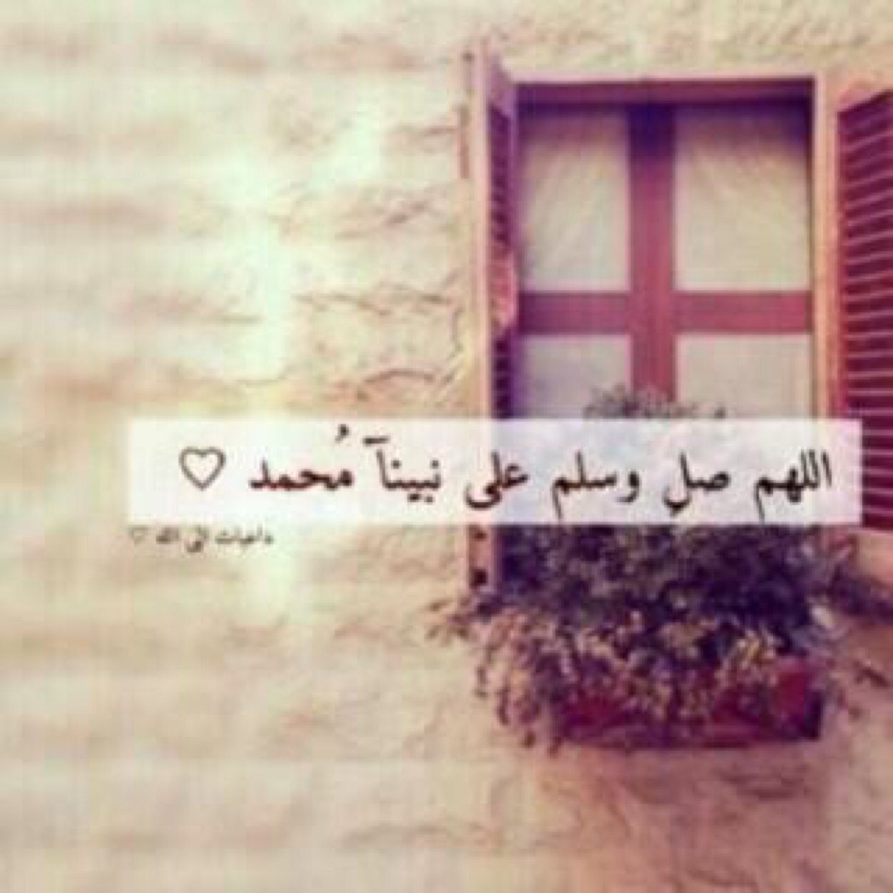 قرة شوق عيني يوم شافت عيونك ❤️