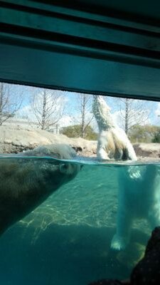 a902431711's profile picture. 