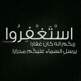 dkrallh_1 Profile Picture