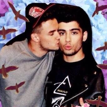 free follow from @excuseme_zayn .don't follow me follow @excuseme_zayn