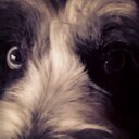 alison - @AlisonFrame - Twitter