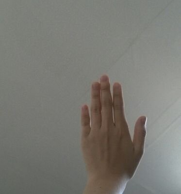Lc 4: 4] et respondit ad illum Iesus scriptum est quia non in pane solo vivet homo sed in omni verbo Dei