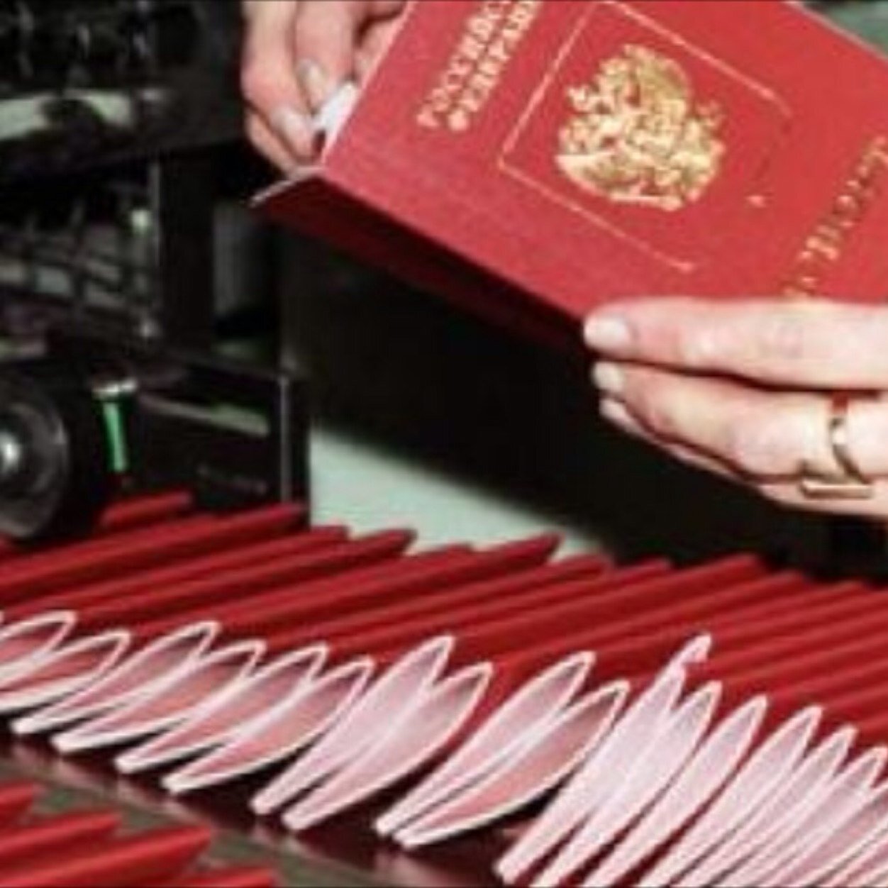 propiska_moscow's profile picture. 