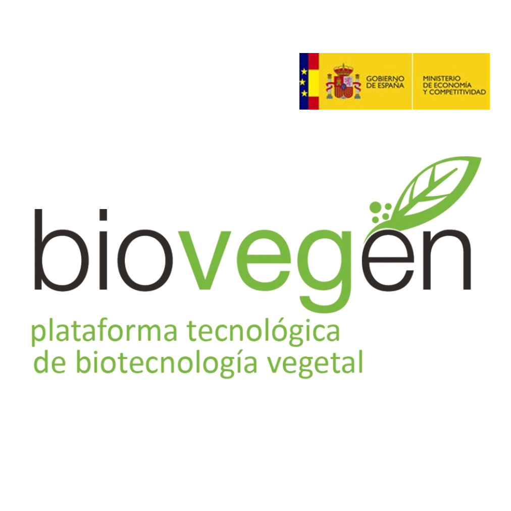 #BIOVEGEN - Plataforma Tecnológica de Biotecnología Vegetal
Ecosistema de #InnovaciónVegetal

BIOTECH ATTRACTION https://t.co/umD2w8DI8a