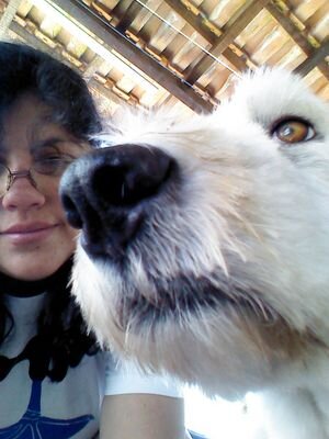 Engineer, educator, mother of dogs, environmentalist