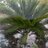 amolina_ec's profile image