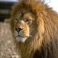 Maurits (@mauritszstd) 's Twitter Profile