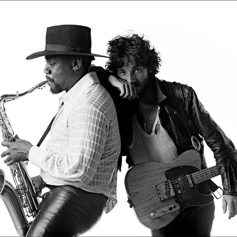 spring_stein's profile picture. 