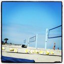 English teacher and volleyball coach.