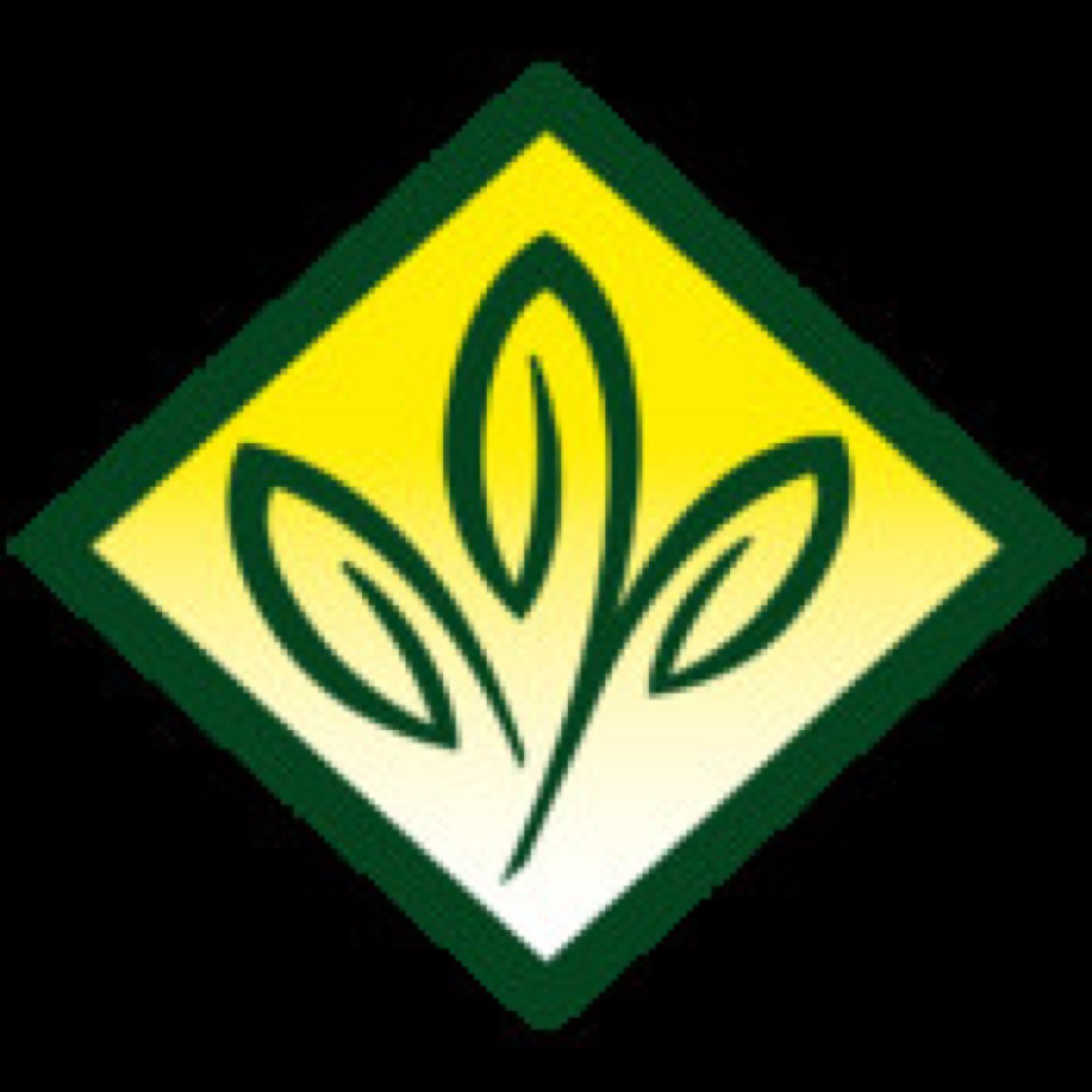 HNails60's profile picture. 