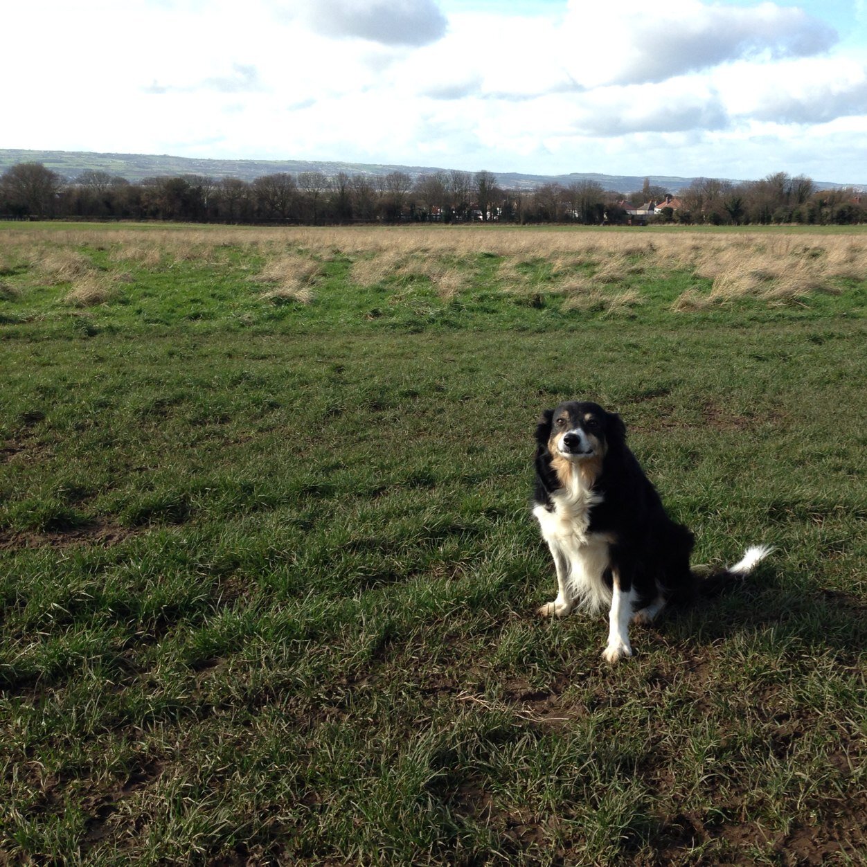 nigehardern's profile picture. 