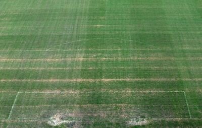 ilCampoDiManaus's profile picture. HELP ME