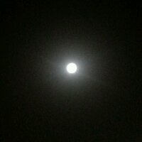 fawazalsaab (@fawazalsaab) 's Twitter Profile
