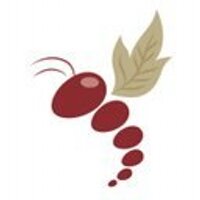 Winebeast (@winebeasthk) 's Twitter Profile