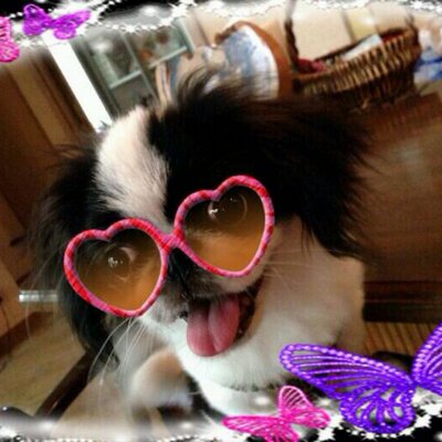 森の番人 3chaya3 Twitter