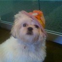 Heeeaterrr's profile picture. 