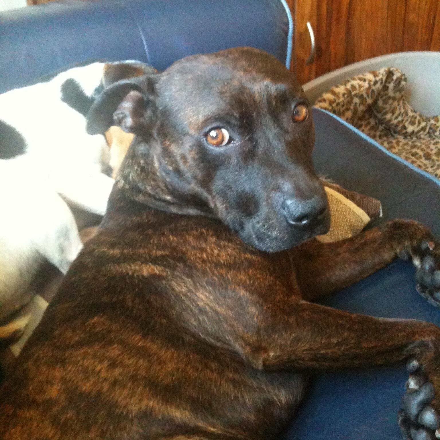 cdaclarke's profile picture. 