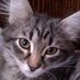 Дороти Дрим (@dorothydrim) Twitter profile photo