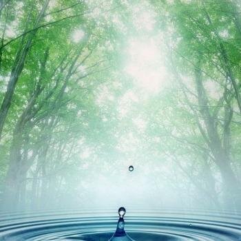 OnlyExperiences's profile picture. 