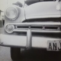 Cafe Waratah(@cafewaratah) 's Twitter Profile Photo