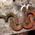 Maine Wood Heat Co. (@mainewoodheat) Twitter profile photo Maine Wood Heat Co. (@mainewoodheat) Twitter profile photo