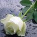faruk mhia (@rafiqul5511) Twitter profile photo