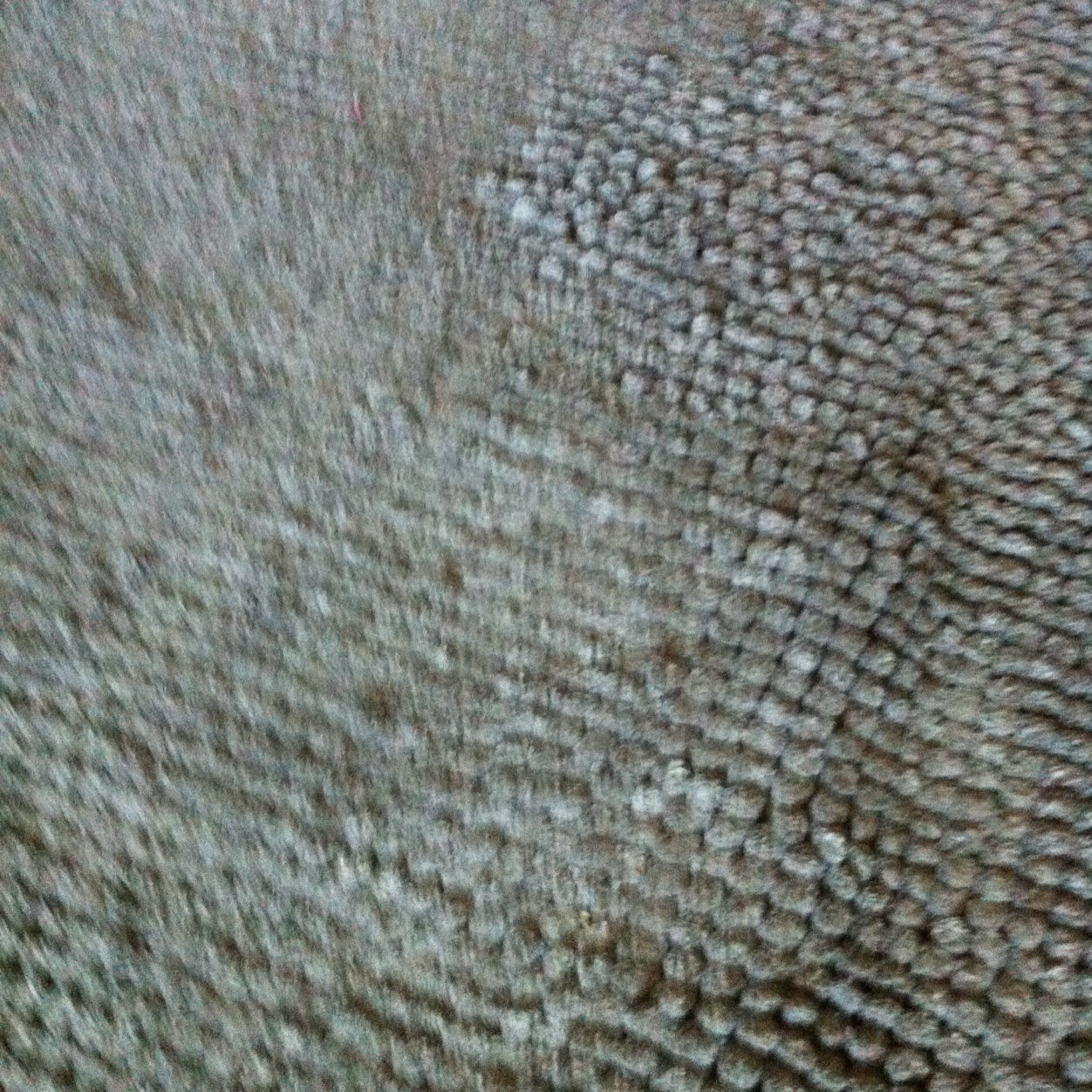 gromin72's profile picture. 