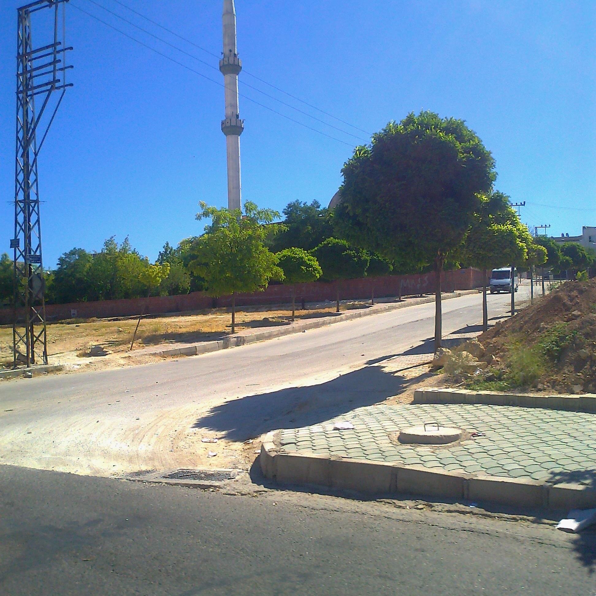 yserkh's profile picture. ماجستير لغة عربية ومدرس لغة عربية للناطقين بغيرها، وللناطقين بها