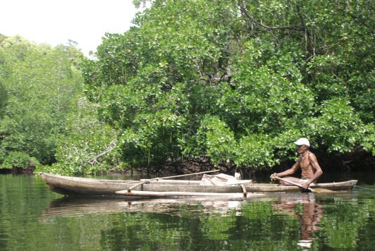 orang Aru akan mempertahankan hutan itu sampai titik darah penghabisan