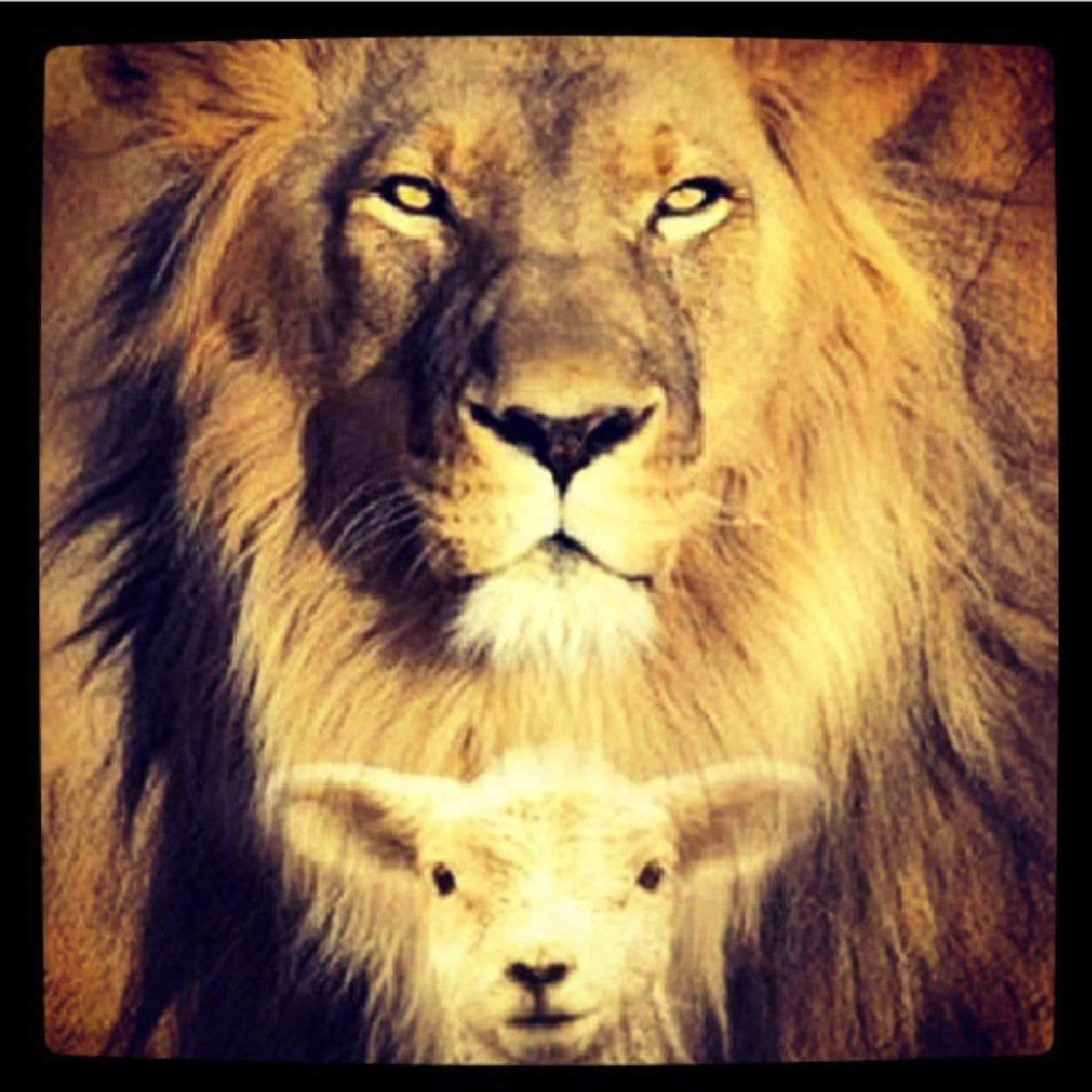 ErzerMyriam's profile picture. Trust in the LORD with all your heart and lean not on your own understanding(Proverbs 3:5).