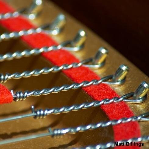 Since 1995, Musicology - School of Music has been assisting you with all of your needs. Please contact us today!! Contact us at (760) 331-2955.