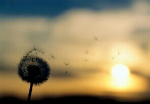 Dafriz1407's profile picture. Faculty of Industrial Technology | Sepuluh Nopember Institute Technology | Engineer | Traveller | IDC |