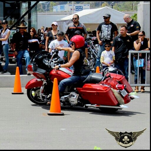 chopper,tesorero y botudo